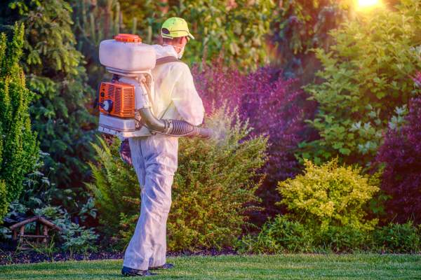 Pest control garden spray