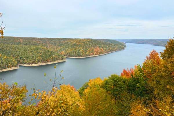 10 U.S. States With the Most Forest Land - Tiny Tree Hub