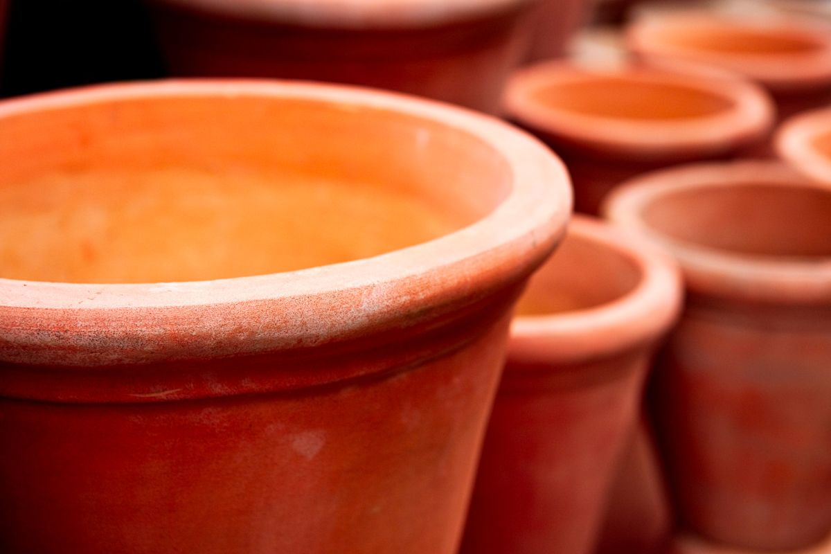 Different sizes of clay pots