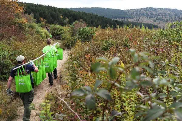 Moving trees the smart way