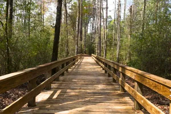 Plank walkway in Big Thicket National Preserve