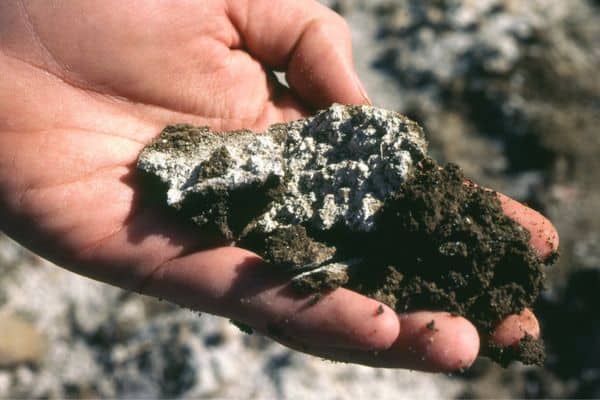 Soil salinity